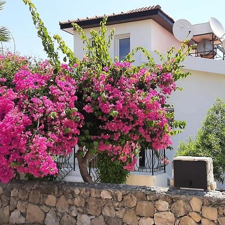 Villa Bougainvillea With Privite Pool Vasilia Exterior foto
